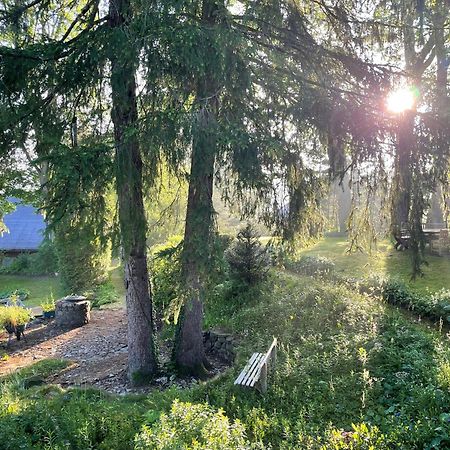 Liebevoll Eingerichtetes Ferienhaus Mit Grossem Garten Clausthal-Zellerfeld Ngoại thất bức ảnh