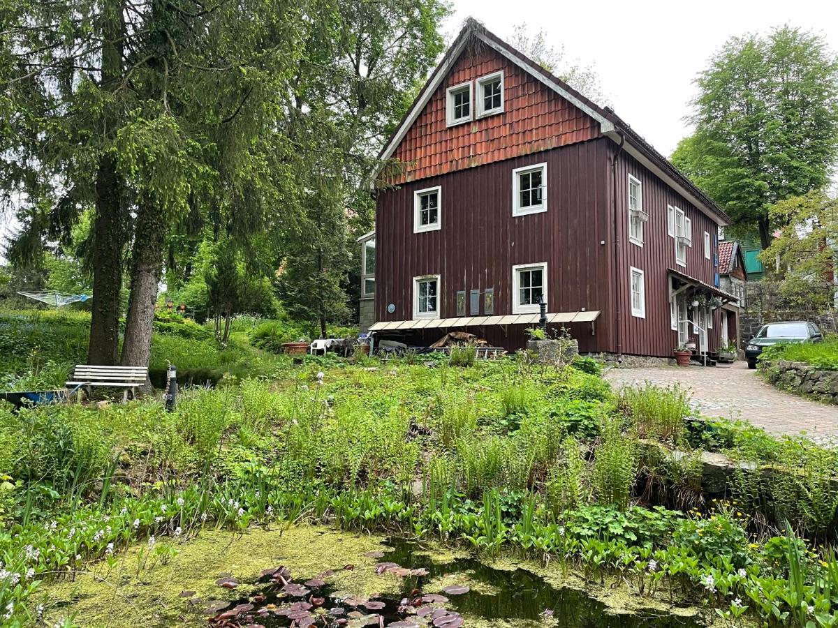 Liebevoll Eingerichtetes Ferienhaus Mit Grossem Garten Clausthal-Zellerfeld Ngoại thất bức ảnh